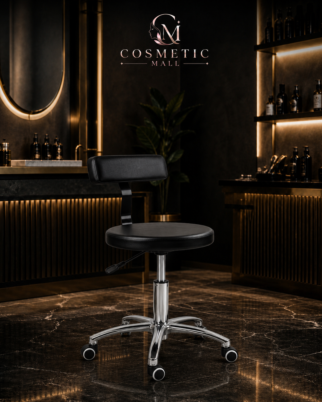 Salon Stool Chair with Back Rest Black