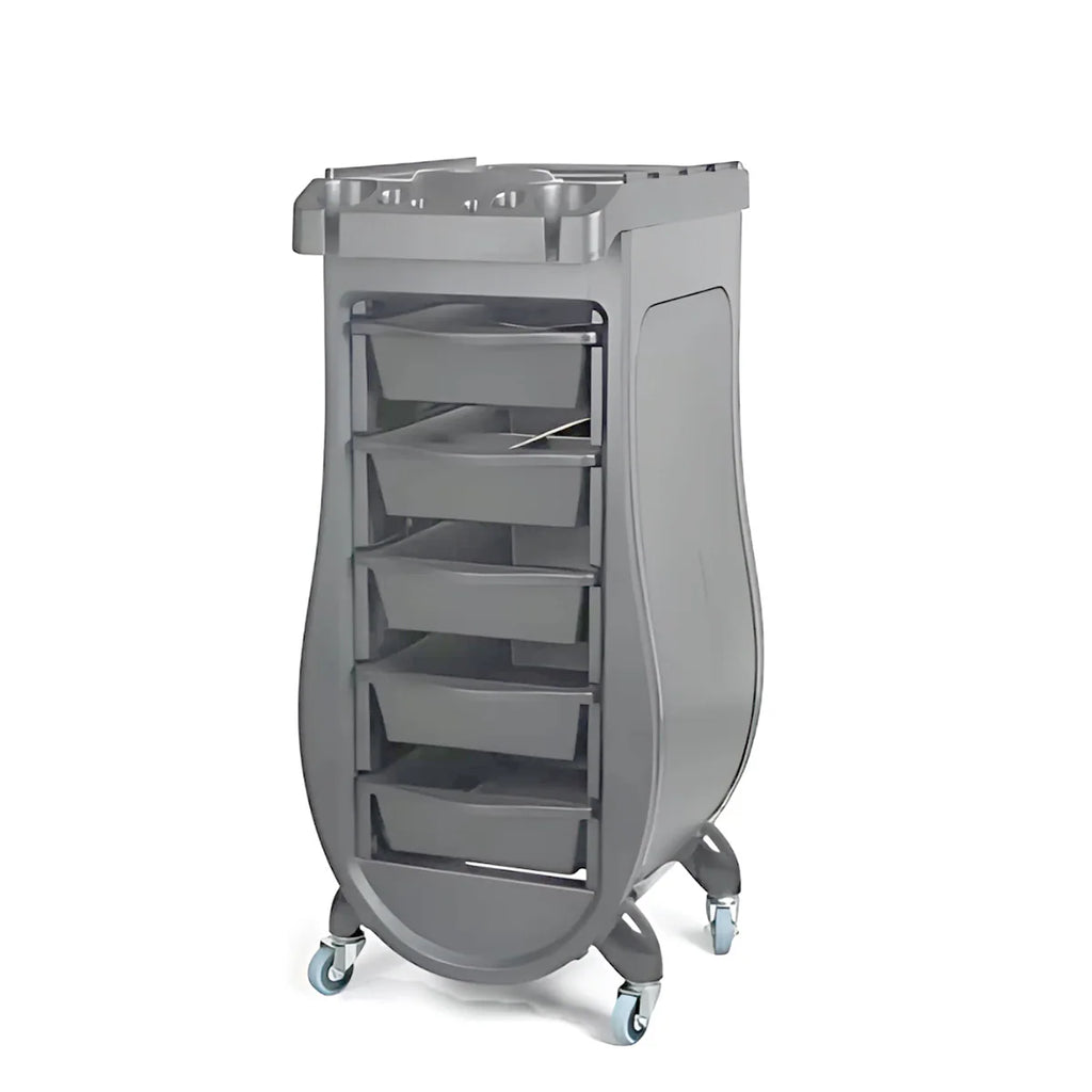 PERFECT ACTIVE  Trolley MA-3201A – Professional Salon Storage Cart with Metal Frame & 5 PVC Drawers