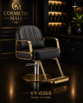 VY-026B Luxury Gold Hydraulic Salon Styling Chair