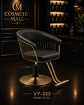 VY-223 Luxury Gold Salon Styling Chair