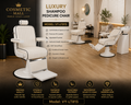 Luxury Shampoo Pedicure Chair – Model VY-LT815