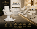 Luxury Shampoo Pedicure Chair – Model VY-LT815C