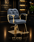 VY-218G Luxury Gold Hydraulic Salon Styling Chair