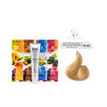 DAY BY DAY 1% AMMONIA  KERATIN HAIR COLOR -NO:10.33- (100ml)